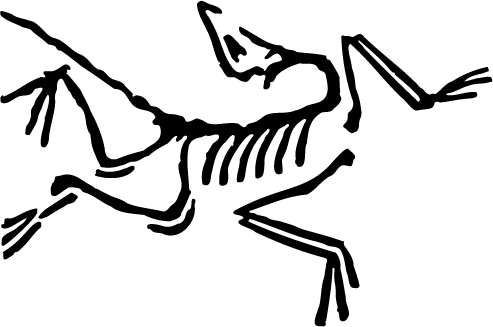 Arc'Teryx